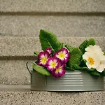 Lovely Marta Apartman *