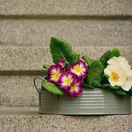 Lovely Marta Apartamento *